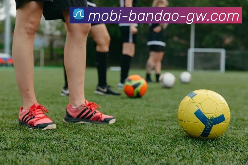 App Interface Preview