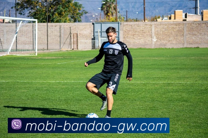 半岛体育APP 封面图